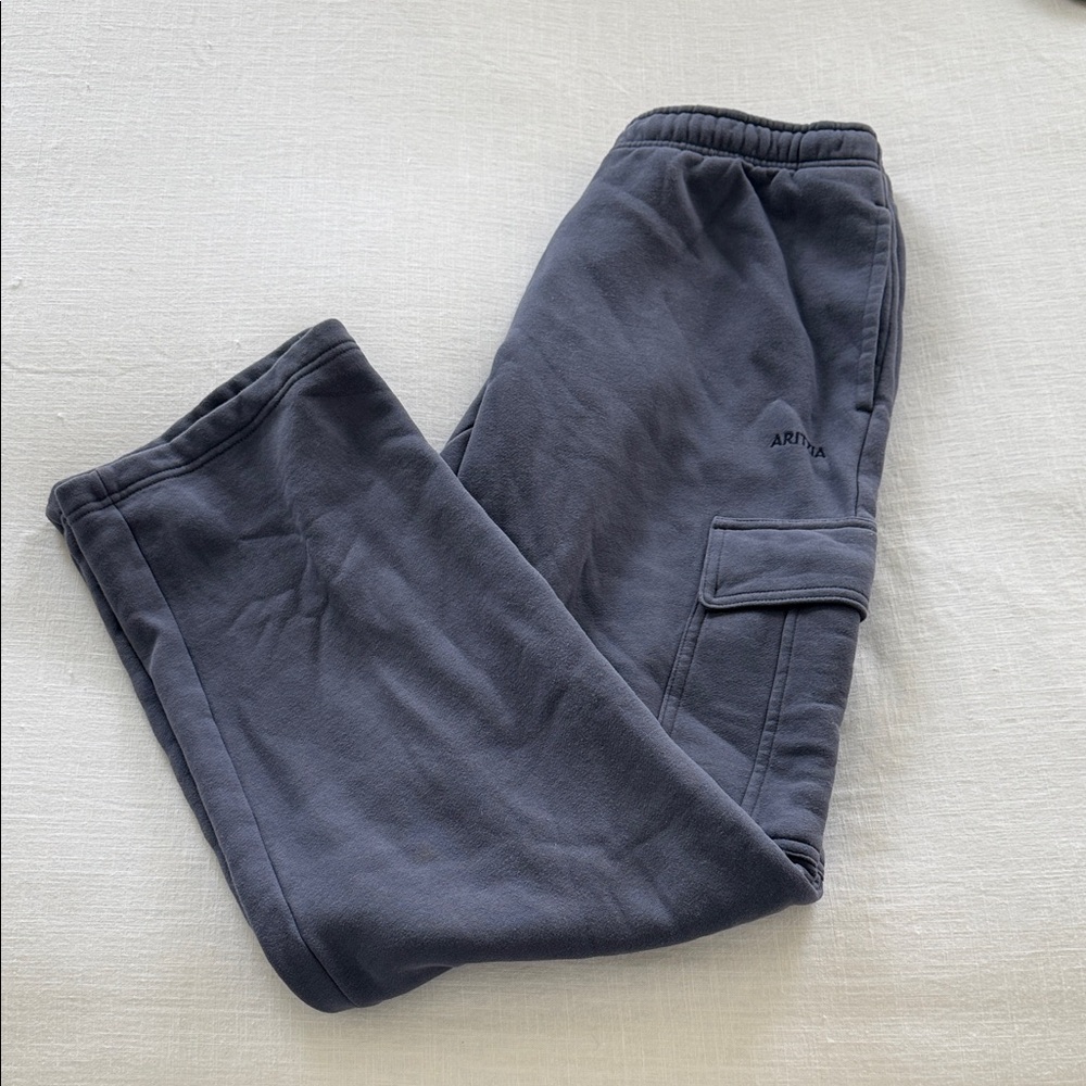 Aritzia cargo sweats